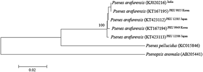 fas-19-0-6-g3