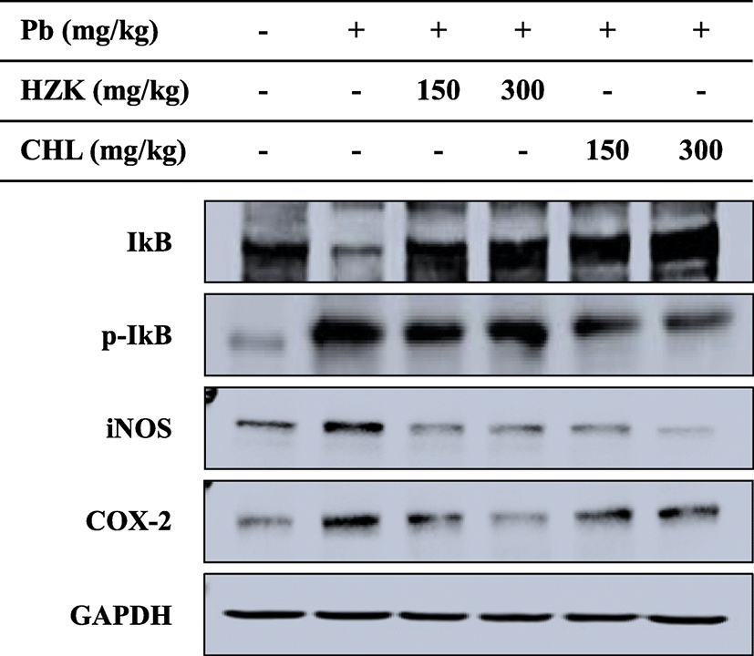 fas-22-0-2-g7