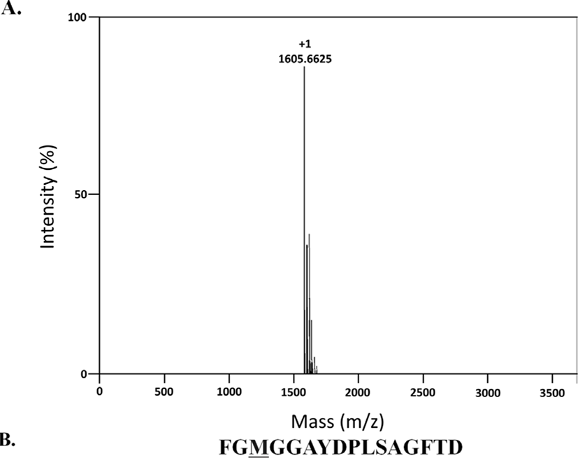 fas-24-4-163-g3