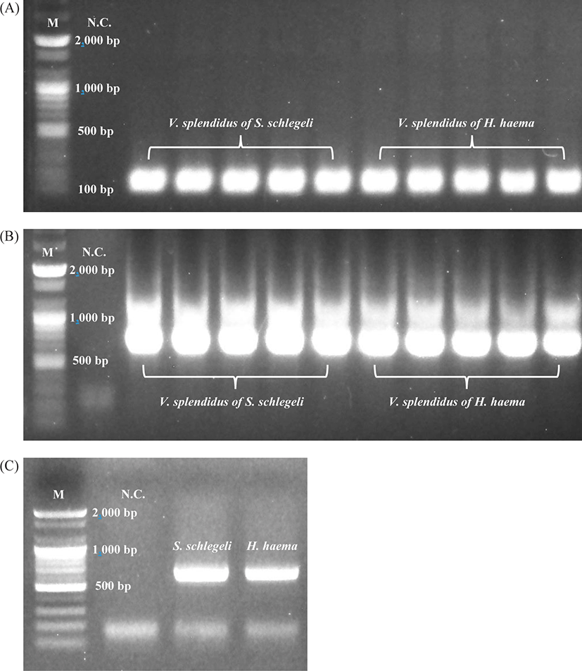 fas-25-1-40-g5