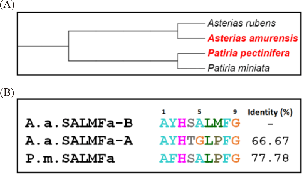 fas-25-11-572-g4