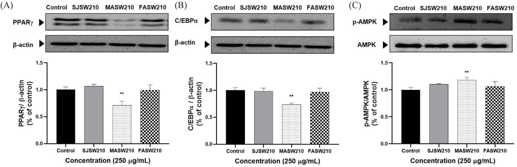 fas-27-2-122-g5