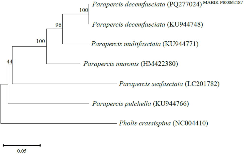 fas-28-8-547-g3