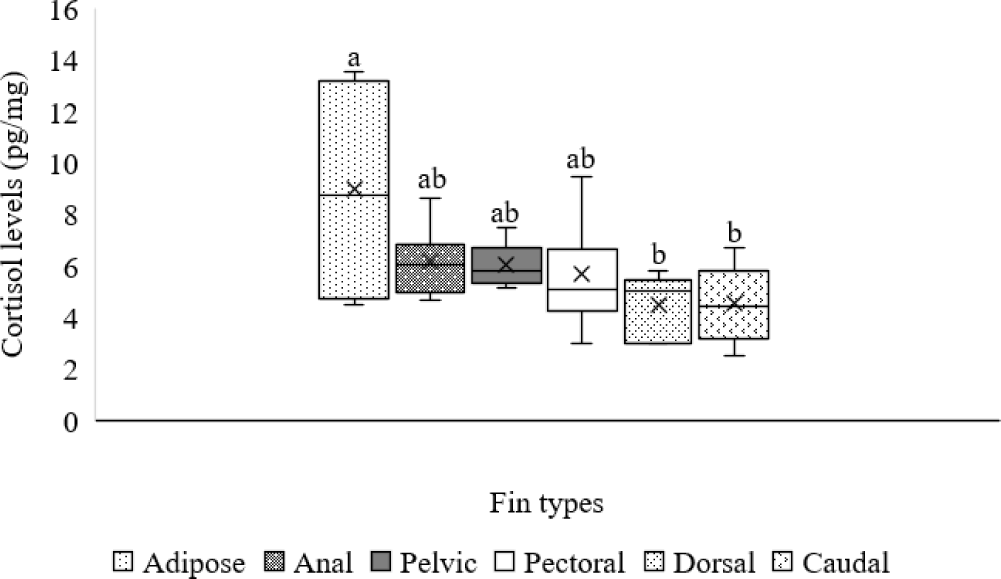 fas-29-6-404-g2